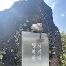 먹는 행복 | 김치찌개 짜글이에 스파게티까지 만들어 먹는 행복한 시저네 후기