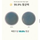 익투스 이미지