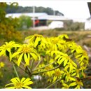 와우한우농장 이미지