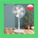 D-14 | 신일 선풍기 가정용 저소음 사무실 스탠드 35cm D14BHP 사용후기: 여름철 필수템으로 추천하는 이유