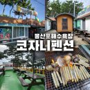 해솔누리 | [태안 코자니 펜션] 바다 바로 앞! 해루질·바비큐·가족 여행 최적 숙소 솔직 후기