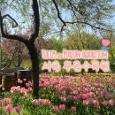 수목원관리사무소 | 서울 항동 푸른수목원 4월 튤립 개화 실시간 &amp; 봄 꽃 나들이 후기(이용안내 및 주차)