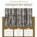 거꾸리굴비