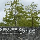 어린이 기획전시 <Be Child> | [화성]어린이체험실부터 기획전시까지! 아이와 방문하기 좋은 화성독립운동기념관🇰🇷
