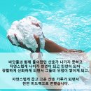 팔라우여행사 이미지