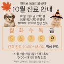 원러브동물의료센터 네이버블로그