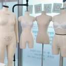 수앤영 이미지