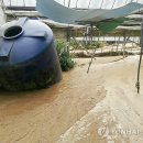 김현중농장 이미지