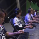 뉴욕딜러