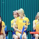 미기 카카오 검색결과