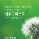 서대천 이미지