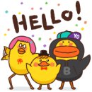 지성 행정사 사무소 이미지