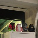 답십리역(5) | [답십리역 맛집 256 냉삼 방문 후기] 답십리 고기집