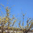 성남사랑의병원 이미지