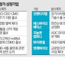 (주)바이오인터내셔널