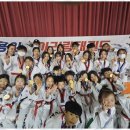 용인대 최고 태권도 이미지