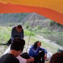 용정펜션 Daum카페