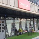 코에코에(COECOE) 이미지