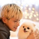 이리 이미지
