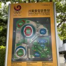 버킷리스트 스쿠버다이빙 체험후기! 만타크루와 잠실종합운동장 제2수영장에서