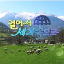 파라오 이미지