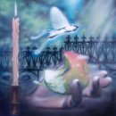 SEA & STAY 이미지