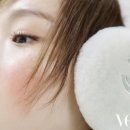 COCO 이미지