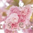 도레도레김포현대몰 이미지