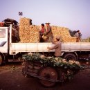 대은농장 이미지