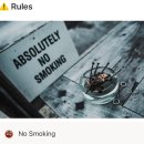 비엔비 | [숙소 후기] 폴란드 바르샤바(Warsaw) 에어비엔비 후기(세탁 가능)