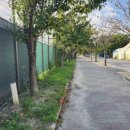 Groomer Ameri 이미지