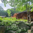 에코황토마을 이미지