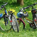 국토종주자전거길1-290 | 인천 부산 국토종주 완벽 가이드｜633km 자전거 여행 코스·일정·준비물 총정리 (최신)