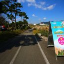 함평천지 한우비빔밥 음식테마거리 | 전라도 가을 여행지 추천 , 함평 1박2일 가족나들이 가볼만한곳 , 함평자연생태공원 외 7곳 총정리