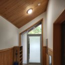 천상의 나무 | 8월 매봉산 천상의 숲, 나동 후기