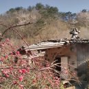 흙집세상 이미지