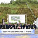 부솔 이미지