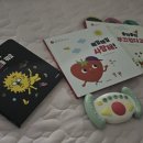 미적감각 - 98306 | 4세 그림책 추천, 미적 감각까지 키우는 핀덴 그림자동화 후기