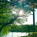 군산마음한의원 | [군산 뚜벅이여행] 만두에 막국수까지 배불리! 진미면막국수