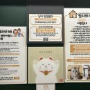 집사의하루 연남점 | 홍대 데이트 이색카페 고양이카페 &lt;집사의하루 연남점&gt; 내돈내산 후기