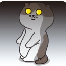 좋은생각어린이집 이미지
