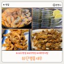 사하구 맛집 하단명품새우 구이 회 튀김을 한 번에 즐기는 세트메뉴 내돈내산 후기