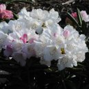 남기농장 이미지