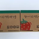 군산하늘딸기 네이버블로그