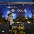 다큐하우스 | 국립백두대간수목원 알파인하우스 야간 전시 여름밤 산책 후기