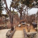 괴산-6 | 괴산 돌과 자연이 어우러진 정원 초원의집 산책