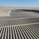 meta plant 이미지