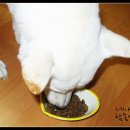 당첨마트3 이미지