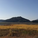 학마을캠프장 이미지