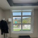 두바이애견풀빌라2 이미지